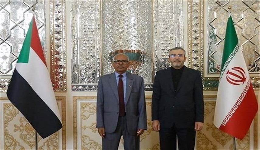 وزير خارجية السودان يعلن الاستعداد للتعاون الوثيق مع إيران في المحافل الدولية