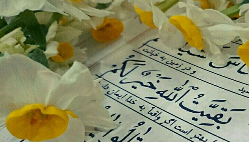 حضرت اميرالمؤمنين(ع): تك تك  ياران حضرت موعود عج را مي شناسم