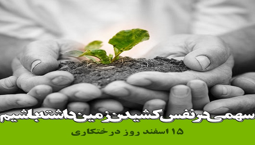 اهميت درختكاري در ايران؛ سنتي باستاني و ملي و ديني