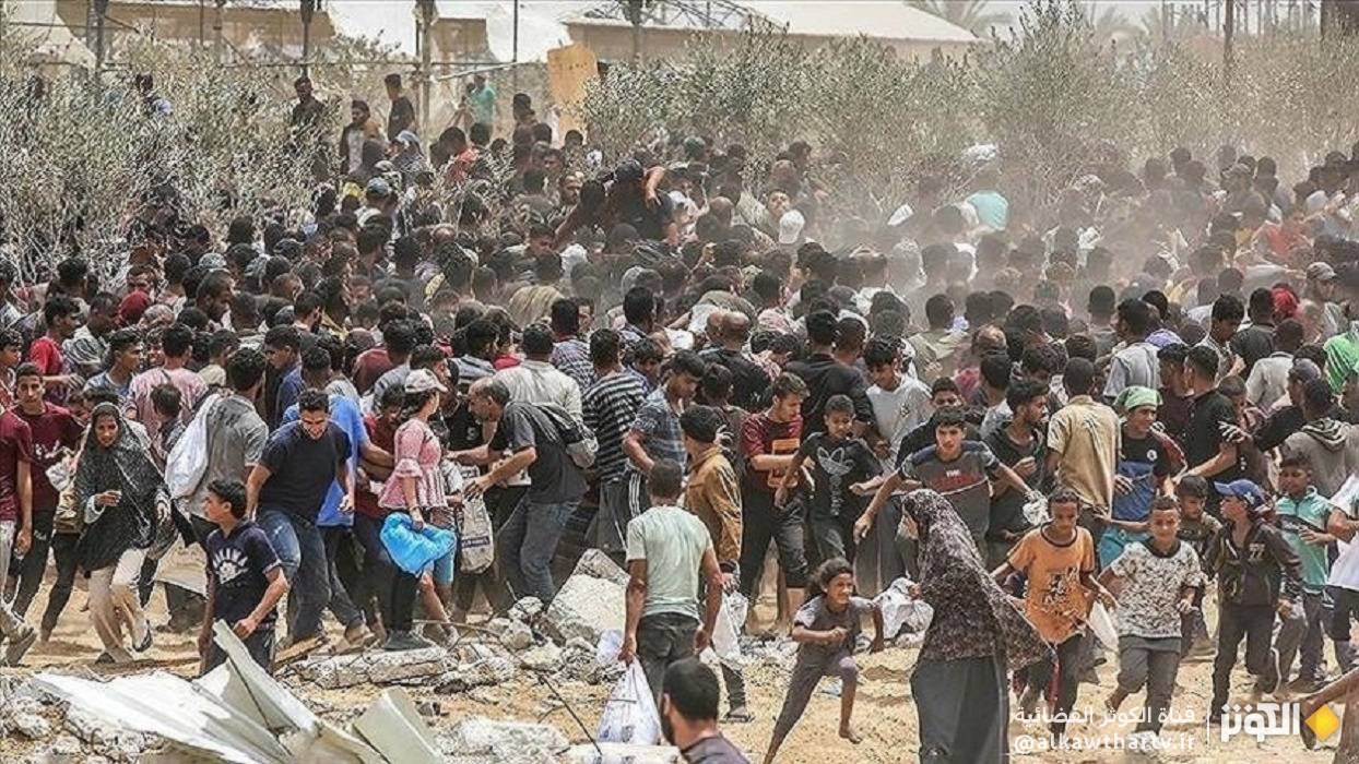 الأمم المتحدة: استشهاد 294 فلسطينياً في نقاط توزيع المساعدات بغزة
