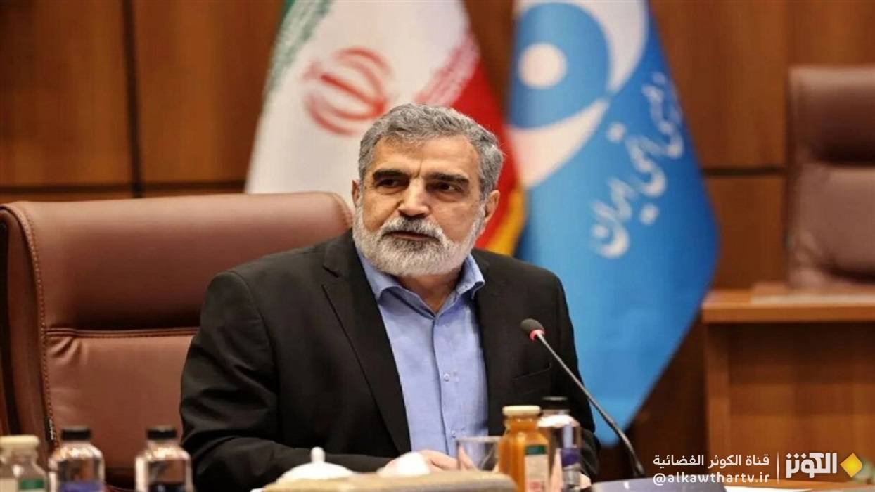 كمالوندي: الصناعة النووية في إيران متجذّرة
