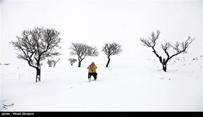صور رائعة للاشجار وسط الثلوج في جبال "ميشو" شرقي ايران