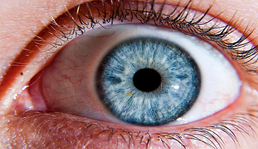 العلماء يتوصلون للخلية المسئولة عن قصر النظر في شبكية العين