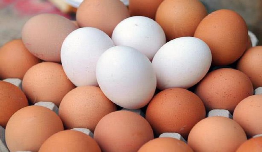 تناول بيضة واحدة يوميا على الاقل، وهذه النتيجة !