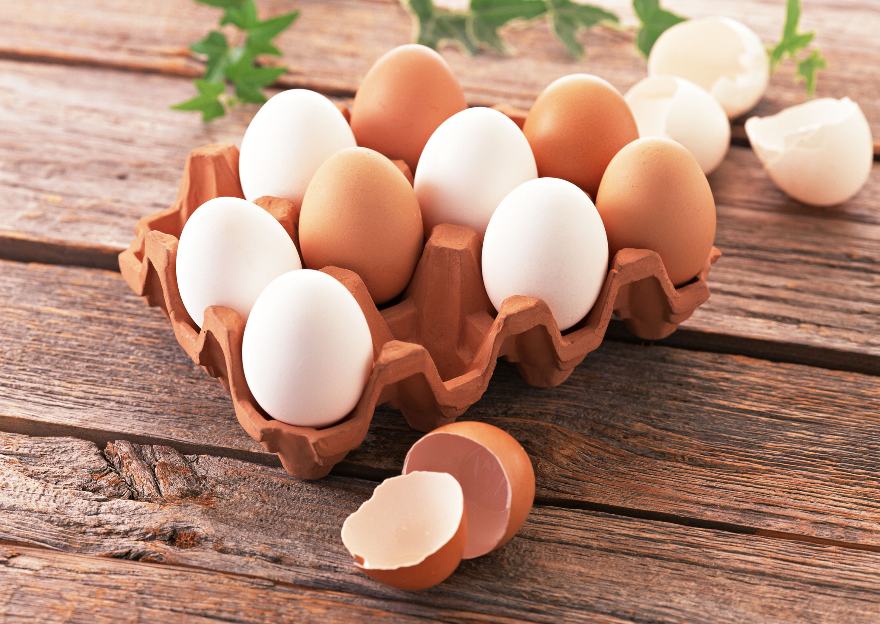 هل يجب ان نغسل البيض قبل طهيه؟