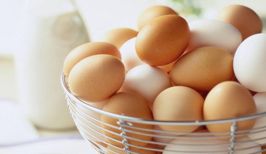 7 فوائد صحية تجعلك حريصا على تناول البيض يوميا