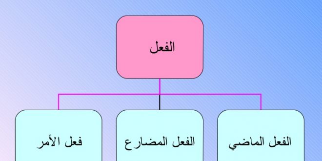 یادگیری نقش فعل امری در داستان عربی + ترجمه فارسی