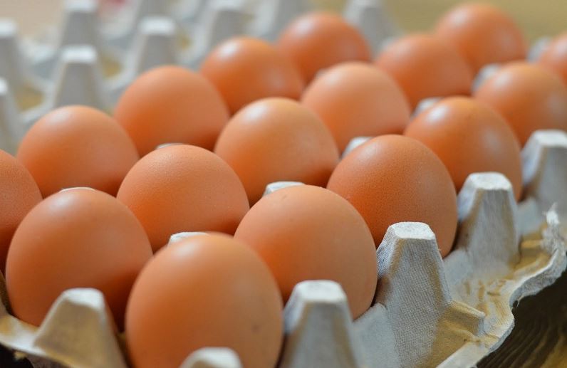 هذه العلامات تساعدكم على تمييز البيض الصحي من الضار!