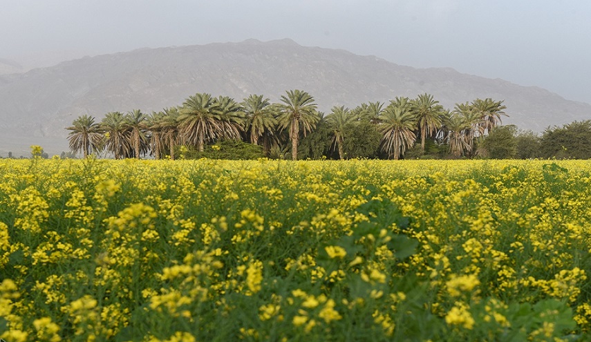 فصل الربيع في محافظة فارس