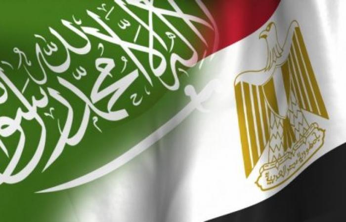خطة سعودية للنفوذ في القوات المسلحة المصرية
