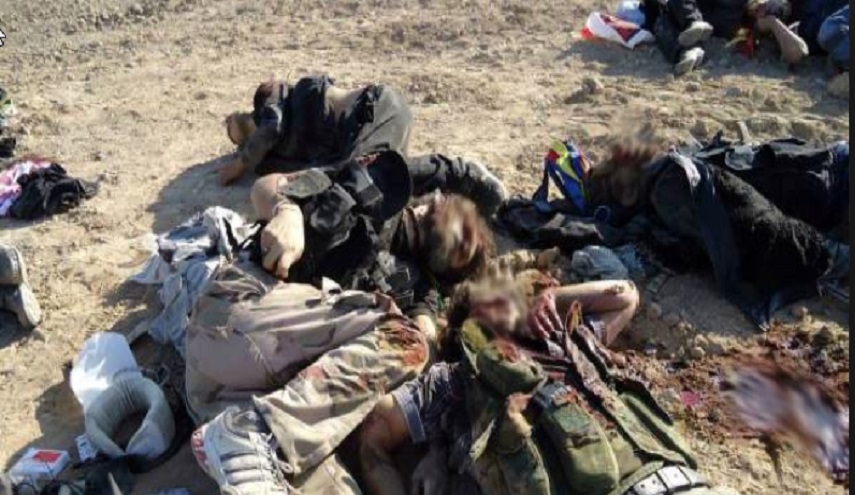 القوات العراقية تعلن مقتل 302 إرهابي وتحرير 31 منطقة في تلعفر