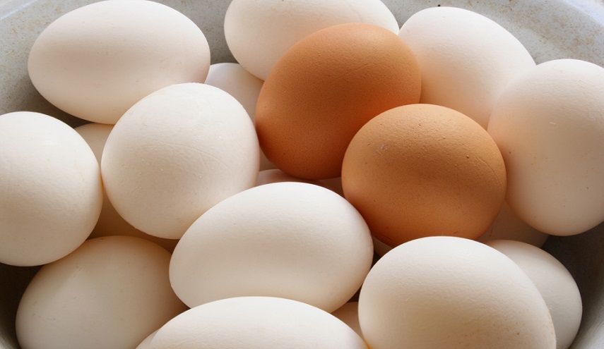 تناول البيض يومياً... وهذه هي فوائده 