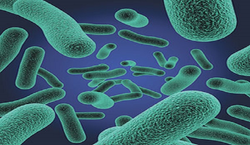علماء يتوصلون لسبب هجوم «الميكروبات» على أجسامنا