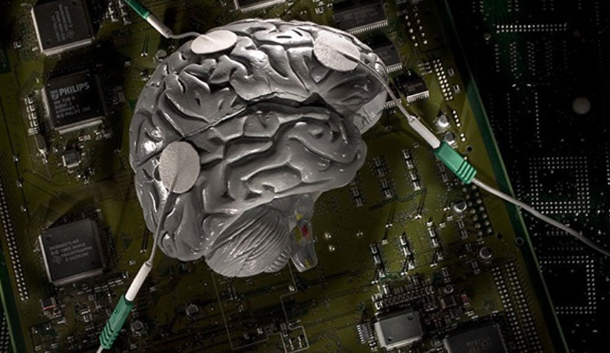 علماء يكتشفون وسيلة فعالة لتحسين وظيفة الدماغ