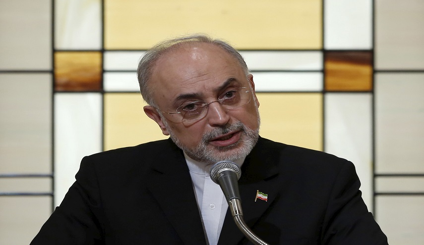 صالحي : الاتفاق النووي تعاون بين ايران والمجتمع الدولي
