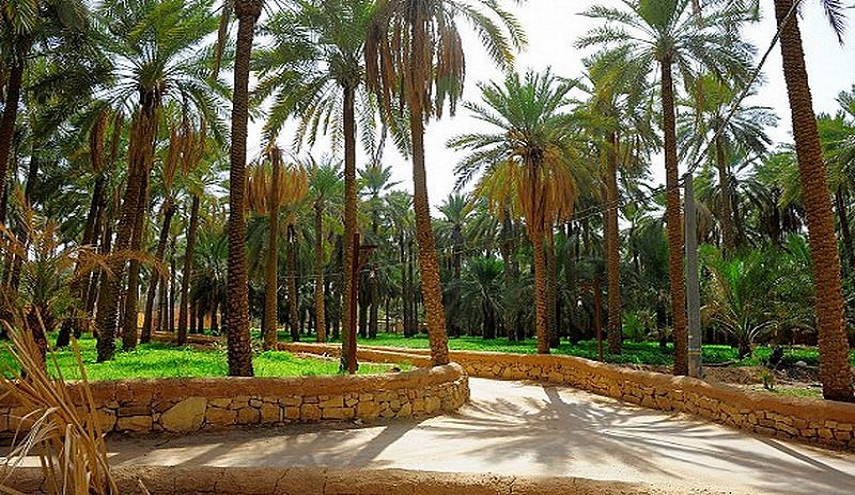 امانة بغداد تعلن عن تنفيذ غابة من الاشجار المعمرة في مدخل بغداد الجنوبي