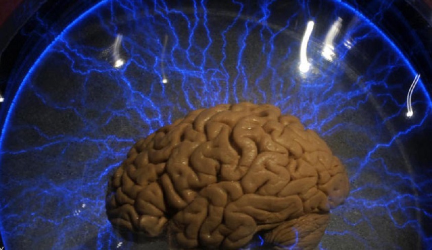 كيف يتخلص الدماغ من المخلفات أو المواد السامة؟