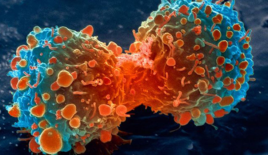 أمل جديد لعلاج السرطان.. 27 جينا لوقف تطور المرض