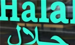 ضرورت تدوین ضوابط غذای «حلال» برای همه کشورهای مسلمان