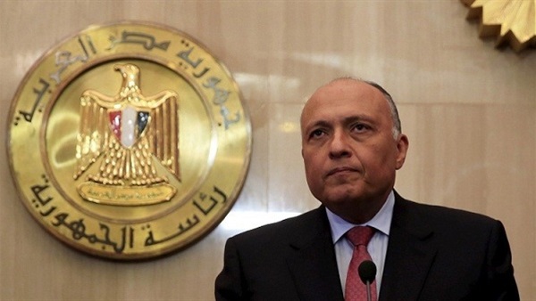 دیدار مذاکره کننده مخالف سوری با وزیر خارجه مصر 