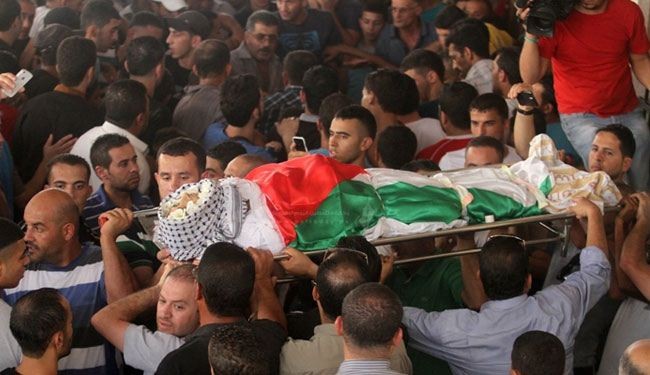سازمان ملل آمار شهدای فلسطینی را در۲ هفته گذشته اعلام کرد