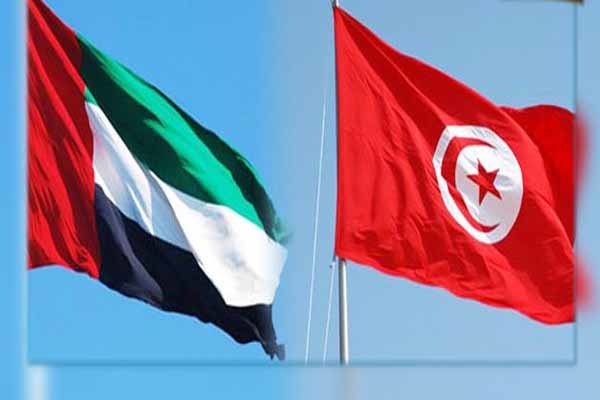 اختلاف نظرهای متفاوت سیاستمداران تونسی درباره نحوه تعامل با امارات و لیبی