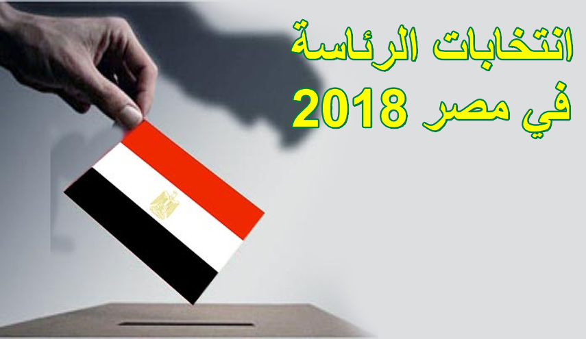 مصر: مليون و35 ألف تأييد حتى الآن.. و29 يناير توزيع الأكواد على المنظمات المقبولة