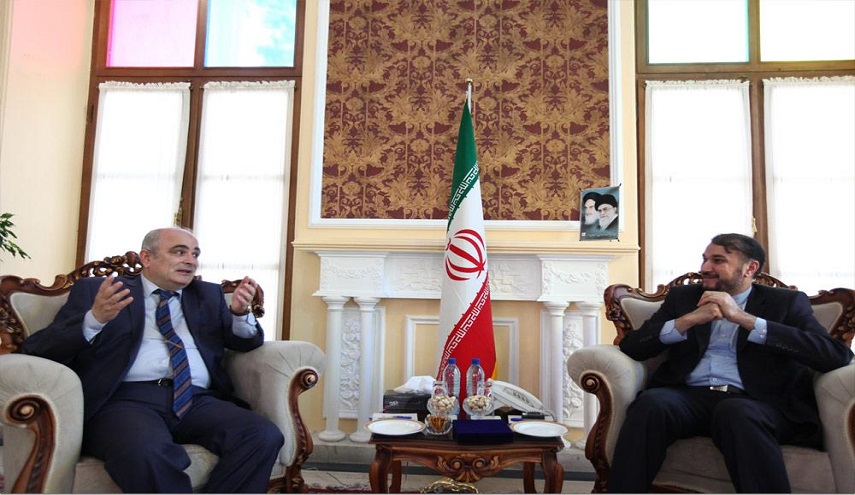 عبداللهيان يناقش القضايا الإقليمية مع سفير روسيا في طهران
