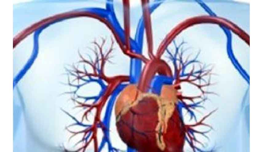 6 معلومات لا تعرفها عن الجلطات القلبية وكيفية علاجها.. تعرف عليها