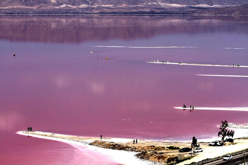 آیا دریاچه صورتی رنگ ایران را دیده اید؟ +عکس