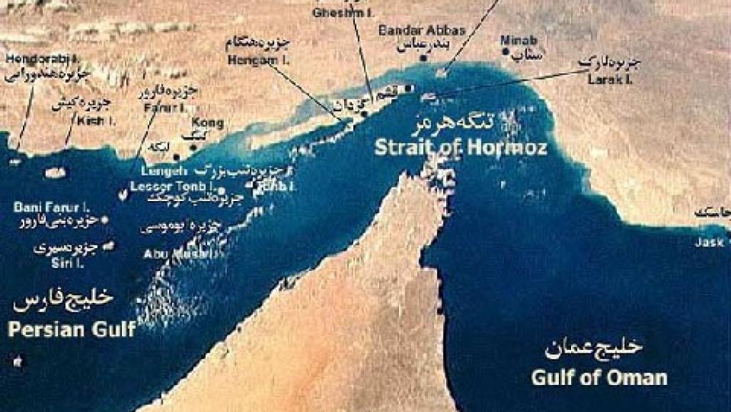 علماء يحذرون من تحول خليج عمان إلى "منطقة ميتة"