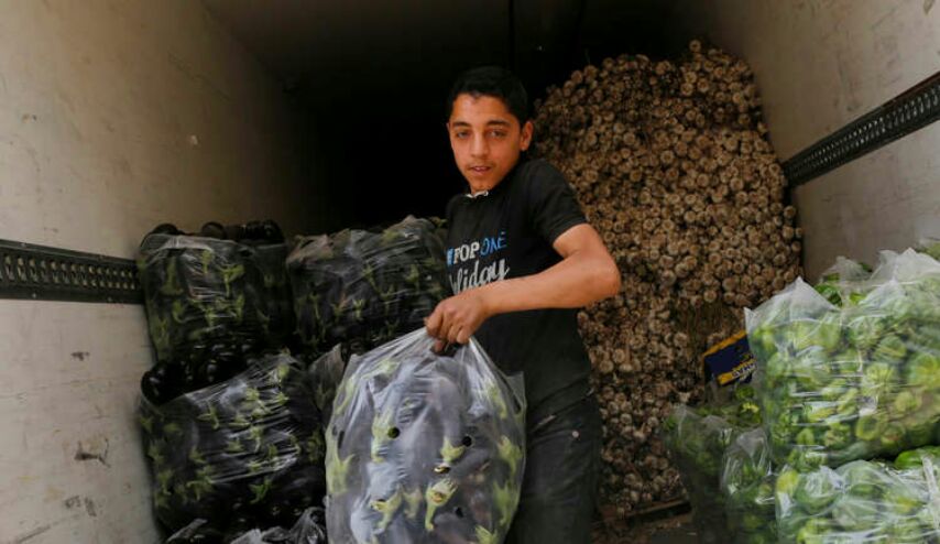 العراق يمنع استيراد خمسة أصناف من الخضراوات