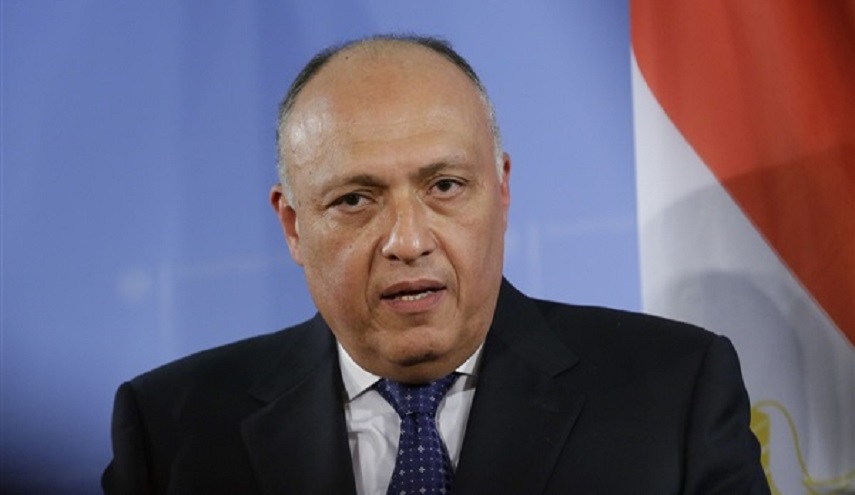 وزير الخارجية المصري يتوجه إلى الجزائر