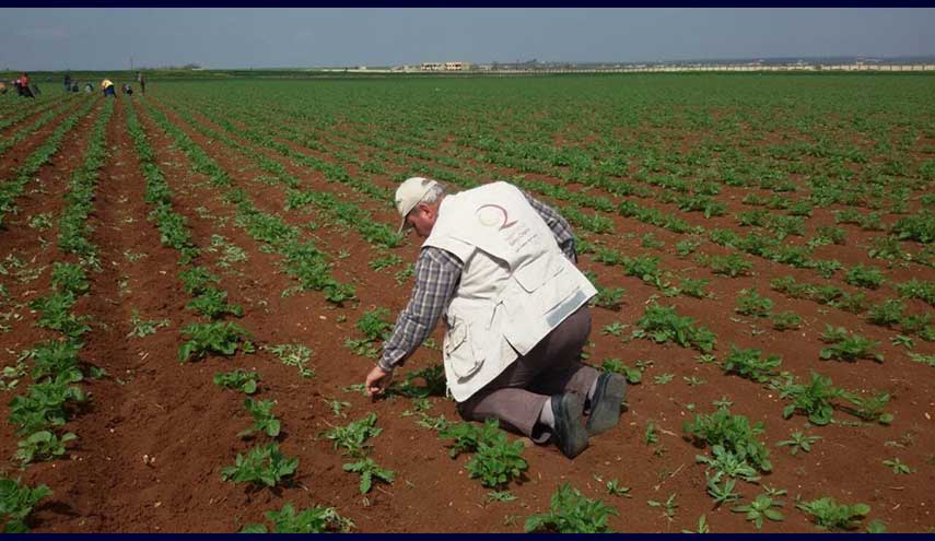 حل سحري لأزمات المزارع السوري!