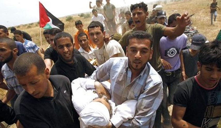 إصابة 5 فلسطينيين برصاص الاحتلال شرق رفح وجباليا