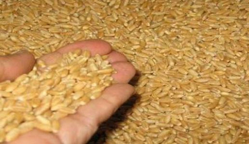 إيران تحظر تصدير 18 منتجا زراعيا