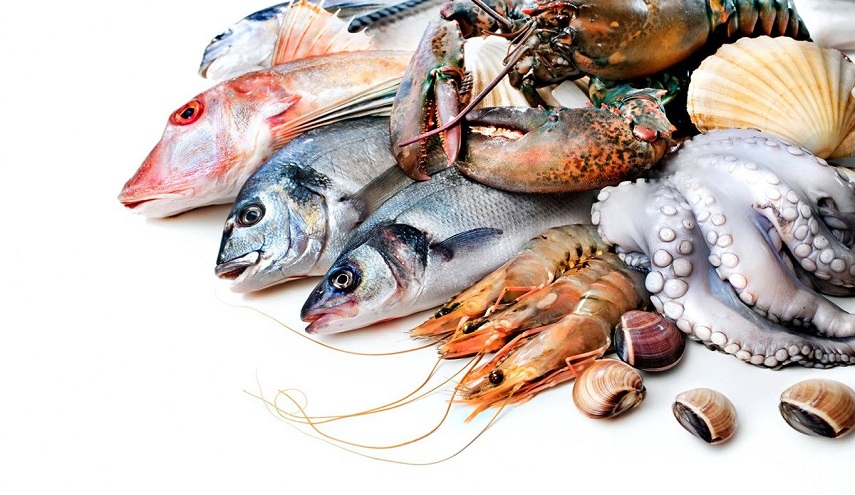  تعرفوا على أكثر 6 أنواع سمك مفيدة للصحة ! 