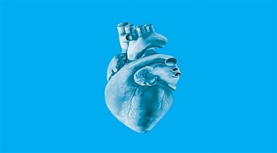 القلب البشري في طباعة ثلاثية الأبعاد.. يعيد الأمل للمرضى