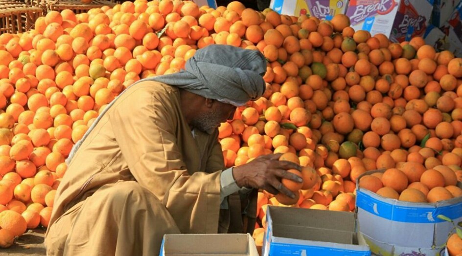 مصر... هل تنجح "خليها تحمض" في خفض أسعار الفاكهة؟