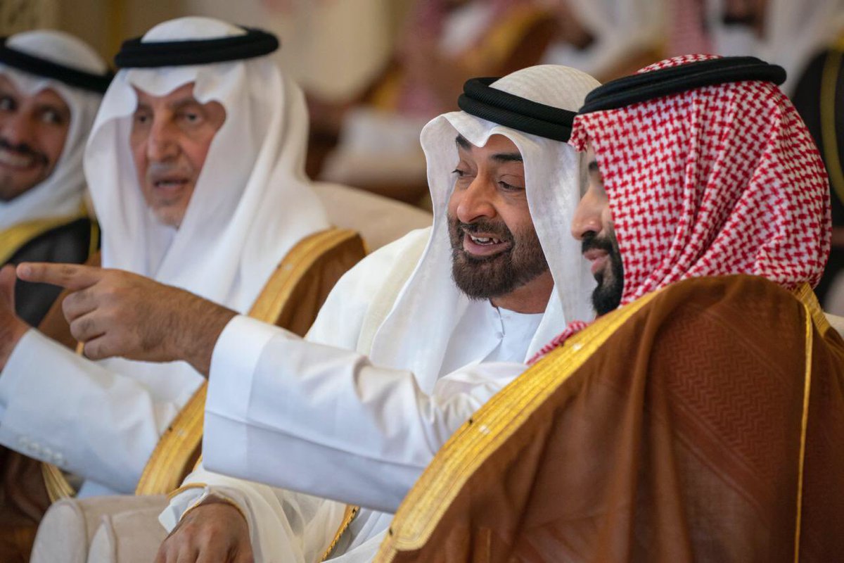 باحث غربي: غياب الحرية في الإمارات “أمر مرعب” وهؤلاء سيقودون التغيير