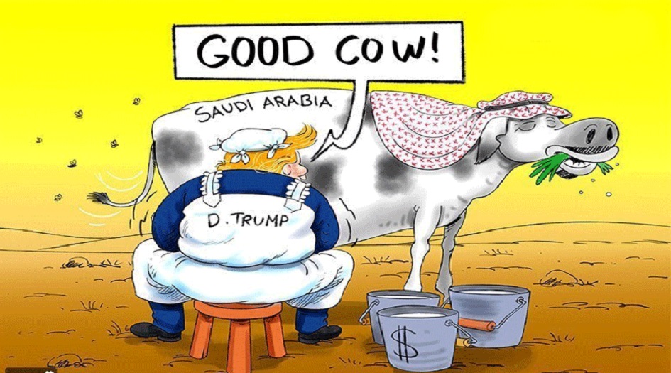 ها هي...البقرة السعودية...تتهيأ للذبح !