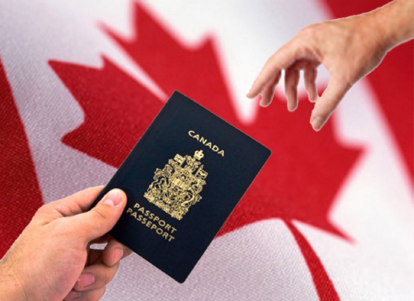  كندا تؤكد استعدادها لاستقبال أعداد أكبر من المهاجرين