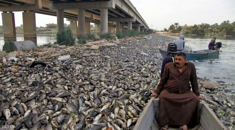 كارثة نفوق الأسماك.. هل هناك اياد خفية؟