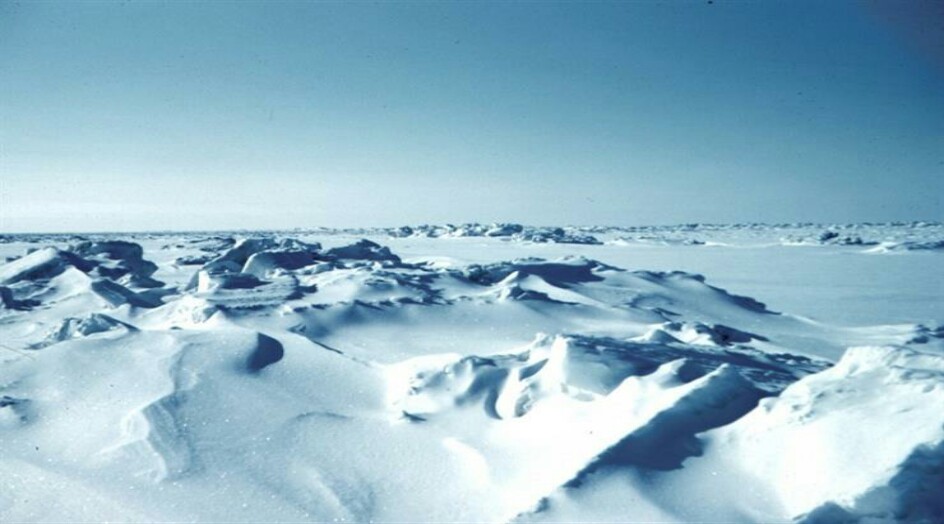 خبير مناخي: العصر الجليدي على الأبواب