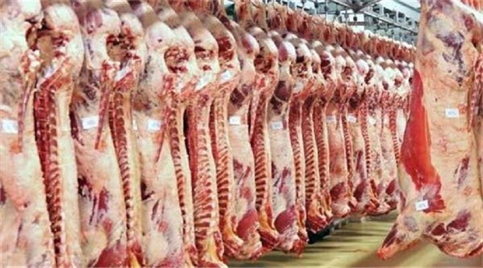 محافظة كربلاء تحقق في عملية دخول اللحوم الى اسواقها