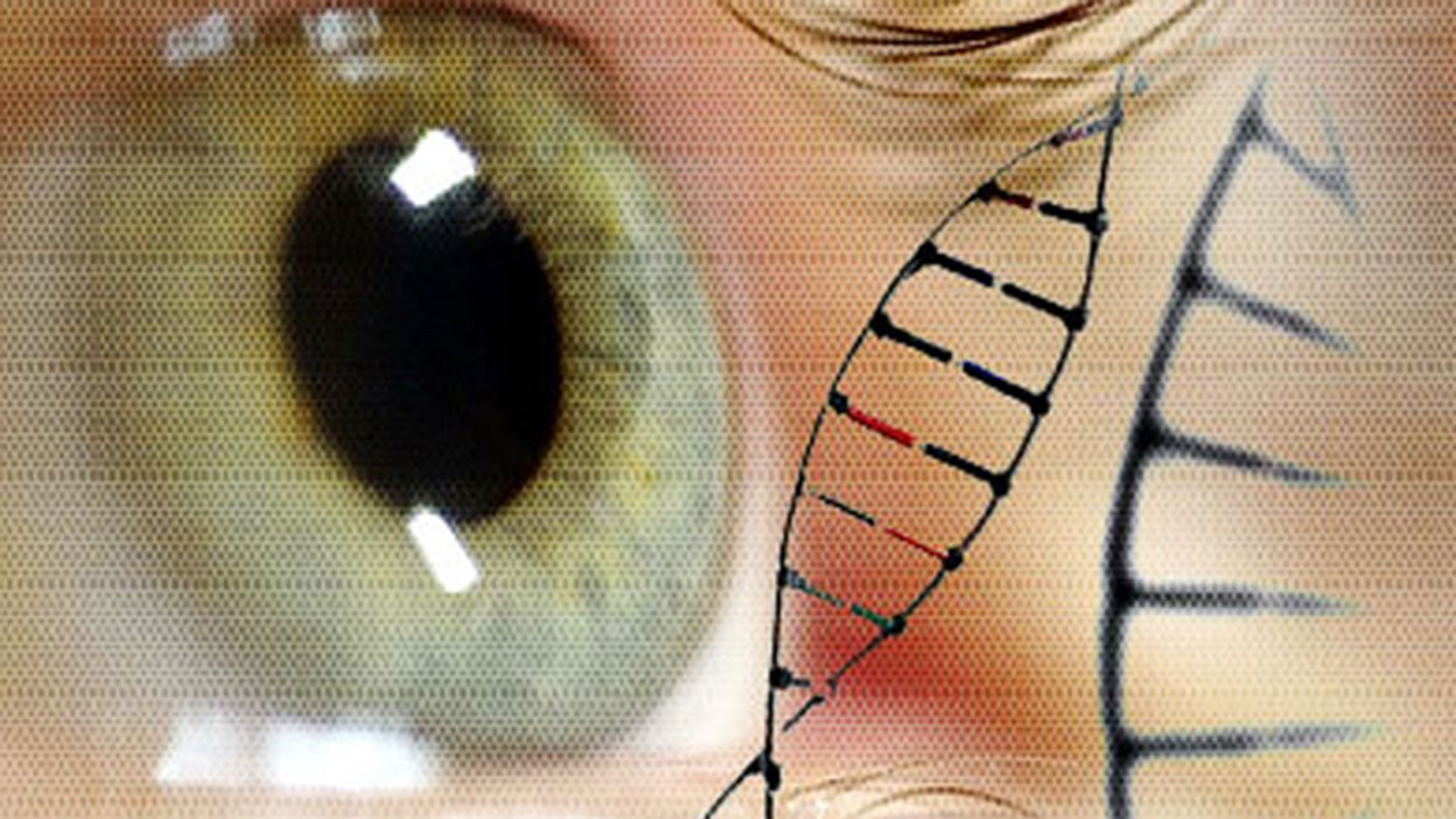 5 ابتكارات طبية قد تساعد على علاج العمى