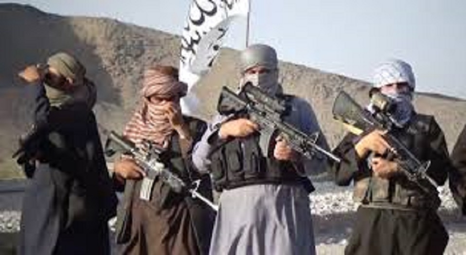  طالبان الأفغانية تنفي إجراء محادثات مع أمريكا في باكستان 