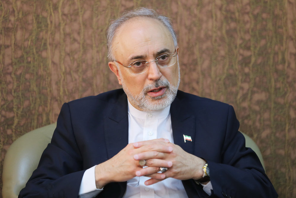  صالحي: ايران مستعدة للتعاون مع دول المنطقة في المجال النووي