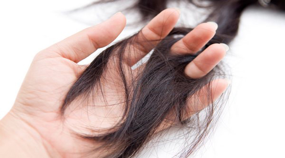 خلطات طبيعية لمنع تساقط الشعر ومشاكل القشرة
