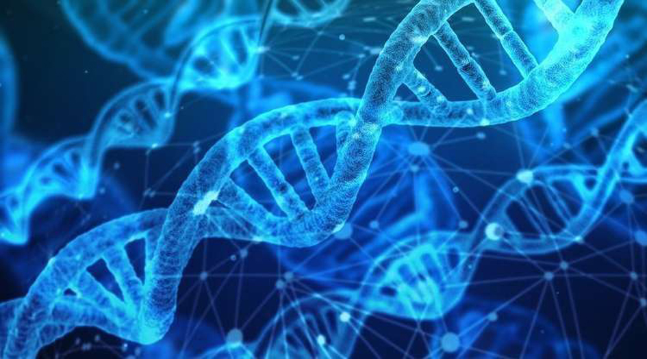 "مفتاح الحمض النووي" يمكن البشر من تجديد أطرافهم المفقودة!